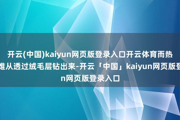 开云(中国)kaiyun网页版登录入口开云体育而热气也很难从透过绒毛层钻出来-开云「中国」kaiyun网页版登录入口