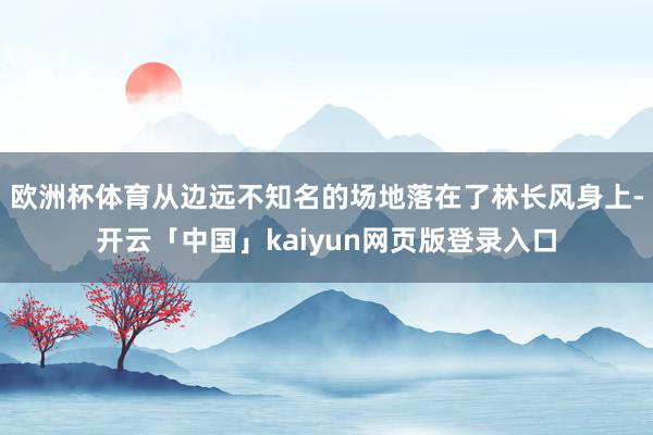 欧洲杯体育从边远不知名的场地落在了林长风身上-开云「中国」kaiyun网页版登录入口
