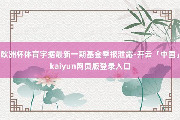 欧洲杯体育字据最新一期基金季报泄露-开云「中国」kaiyun网页版登录入口